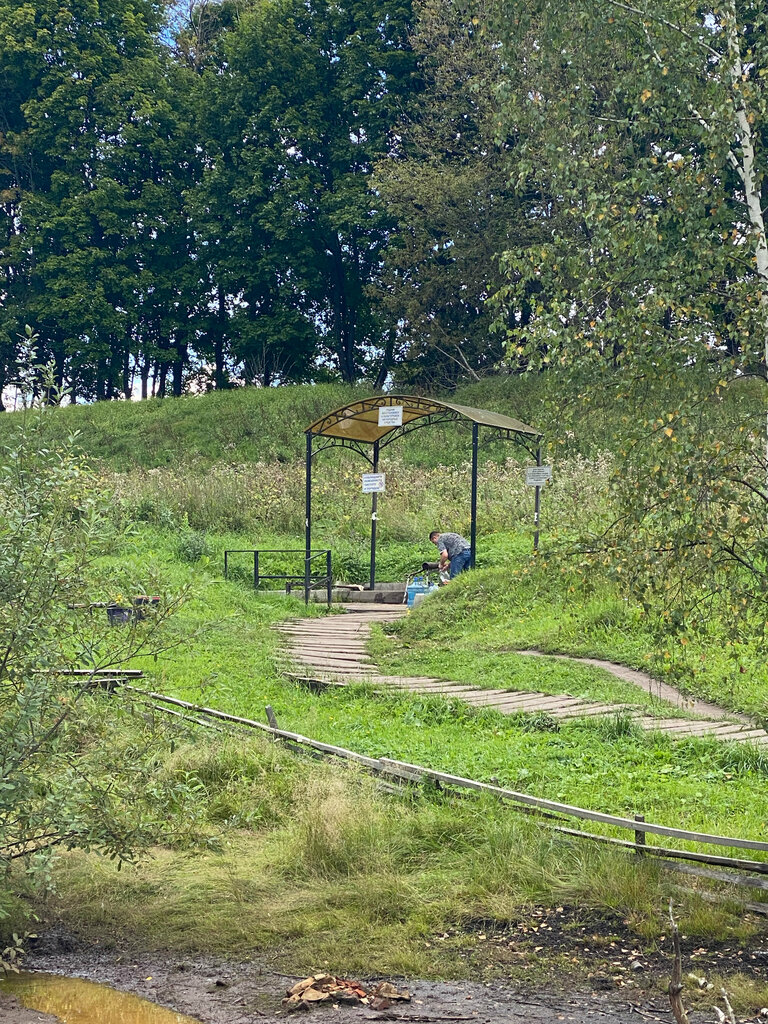 Spring, stream Шанхай, Tula Oblast, photo