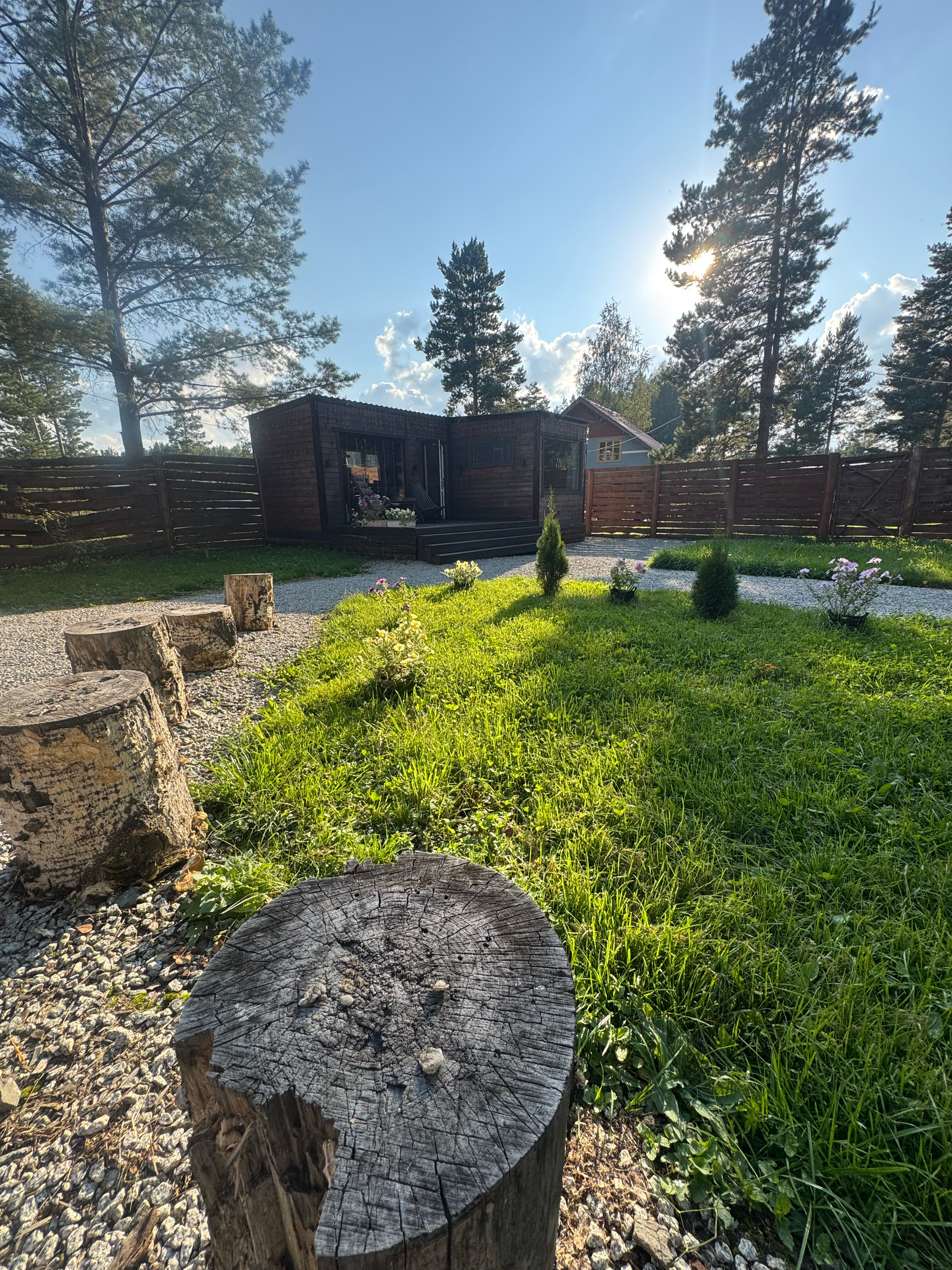 Фото Тихий Кот