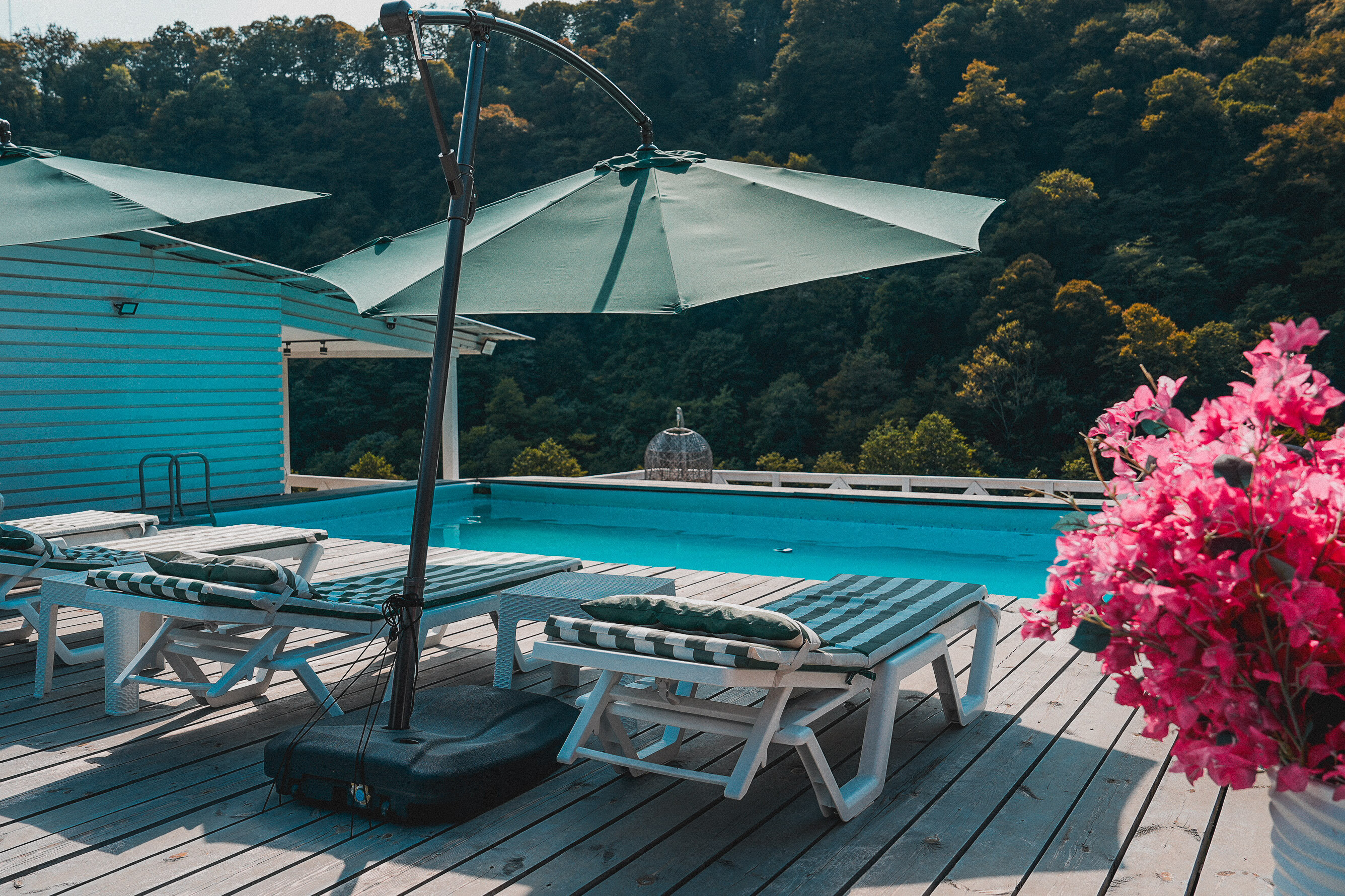 Фото Fazenda Boutique Hotel