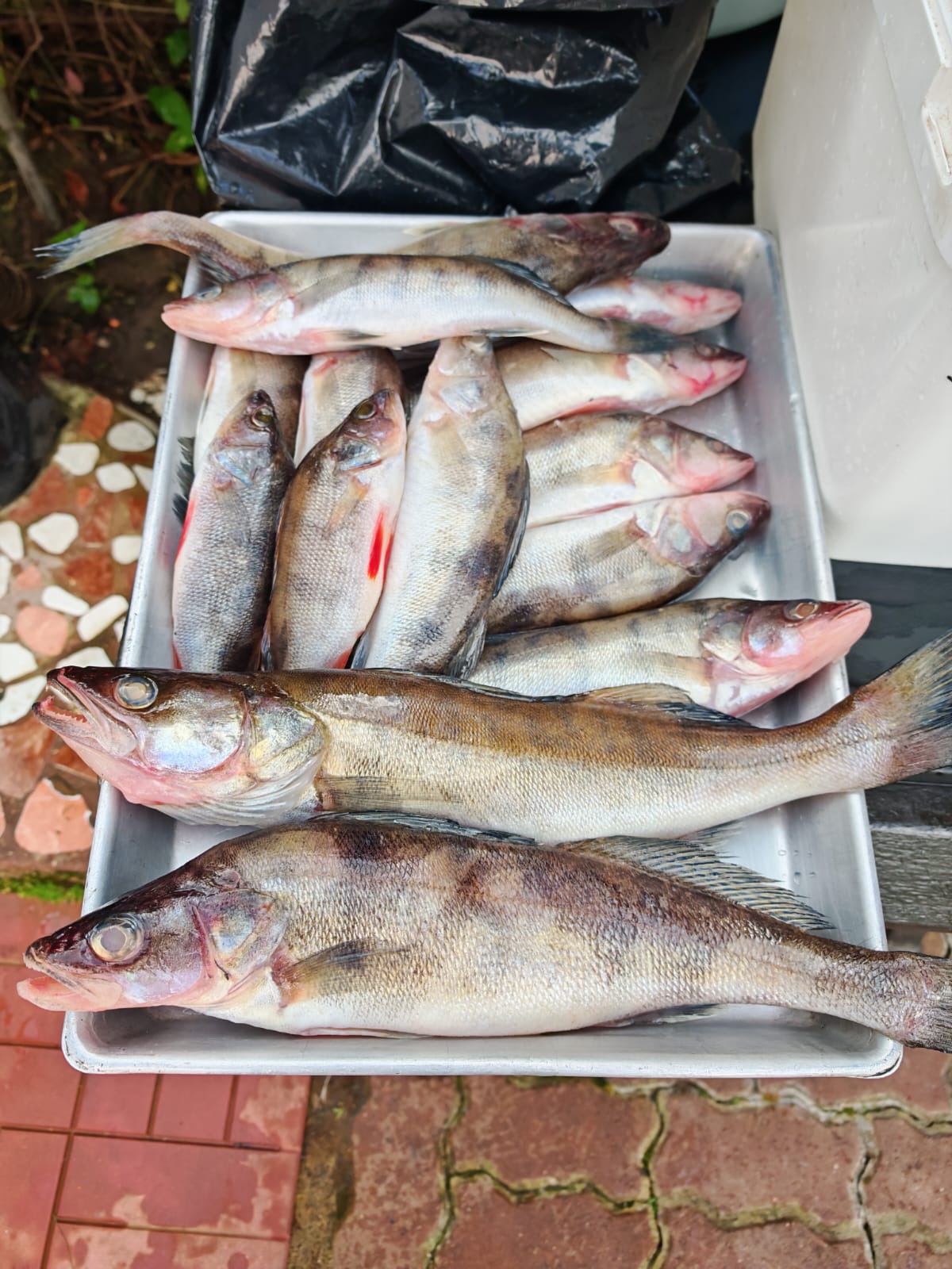 Фото Дом рыбака Дунаец