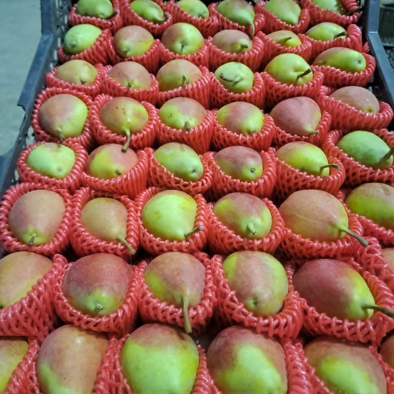 Фото 162592379069