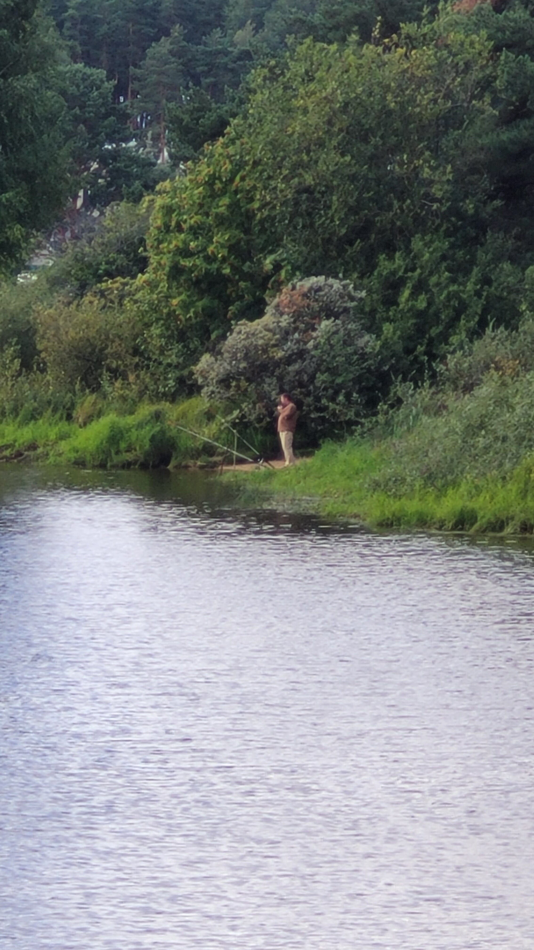 Фото Семейный парк Чёрная речка