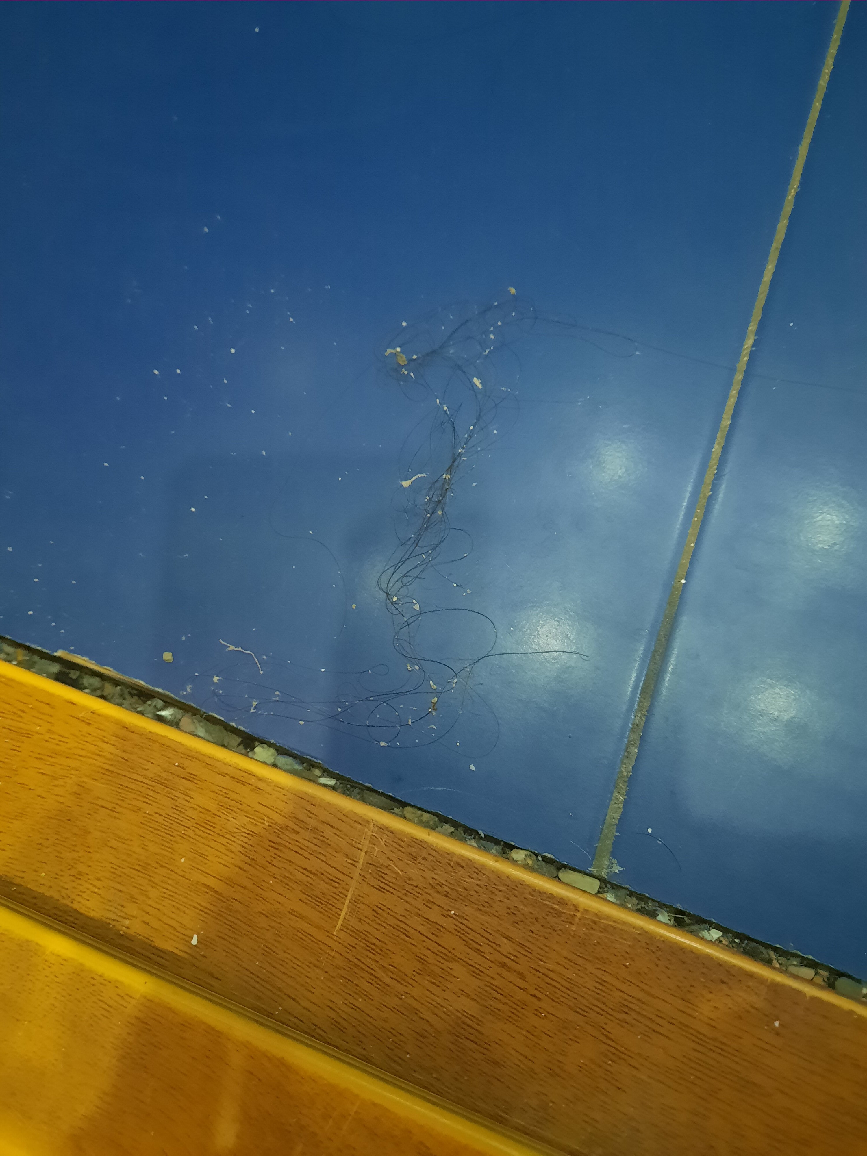 Фото Золотой Компас