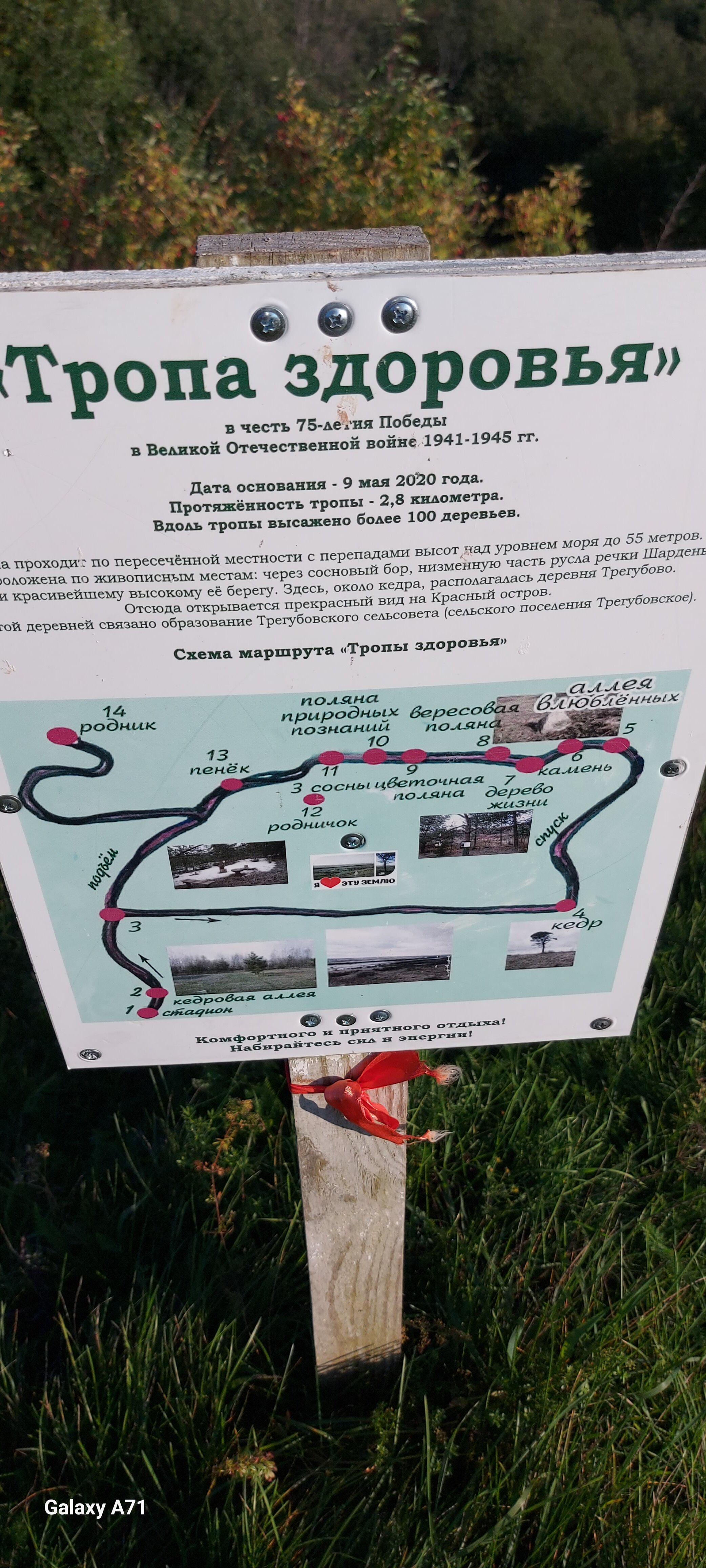 Фото Шумихина гора