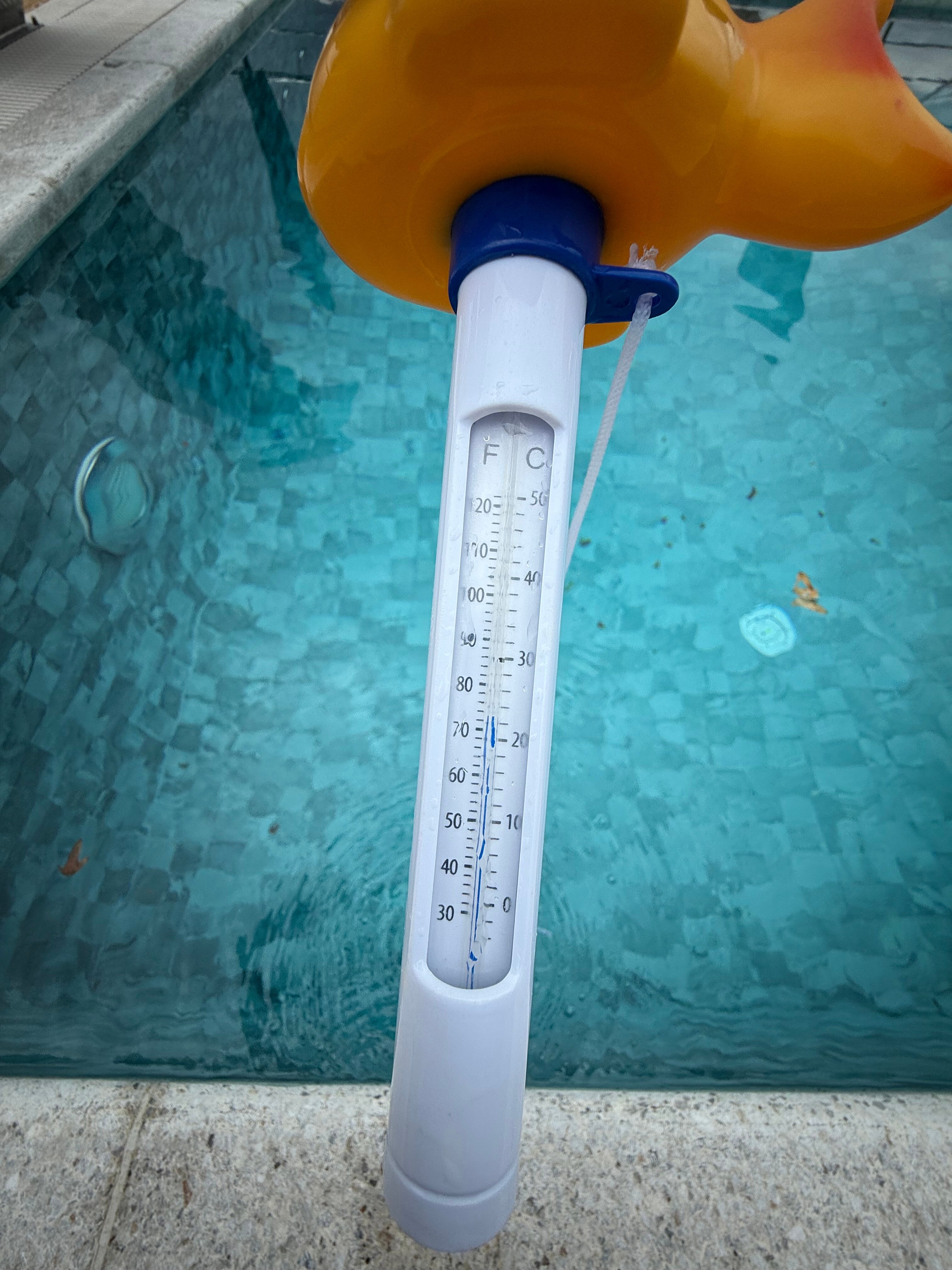 Фото Спутник