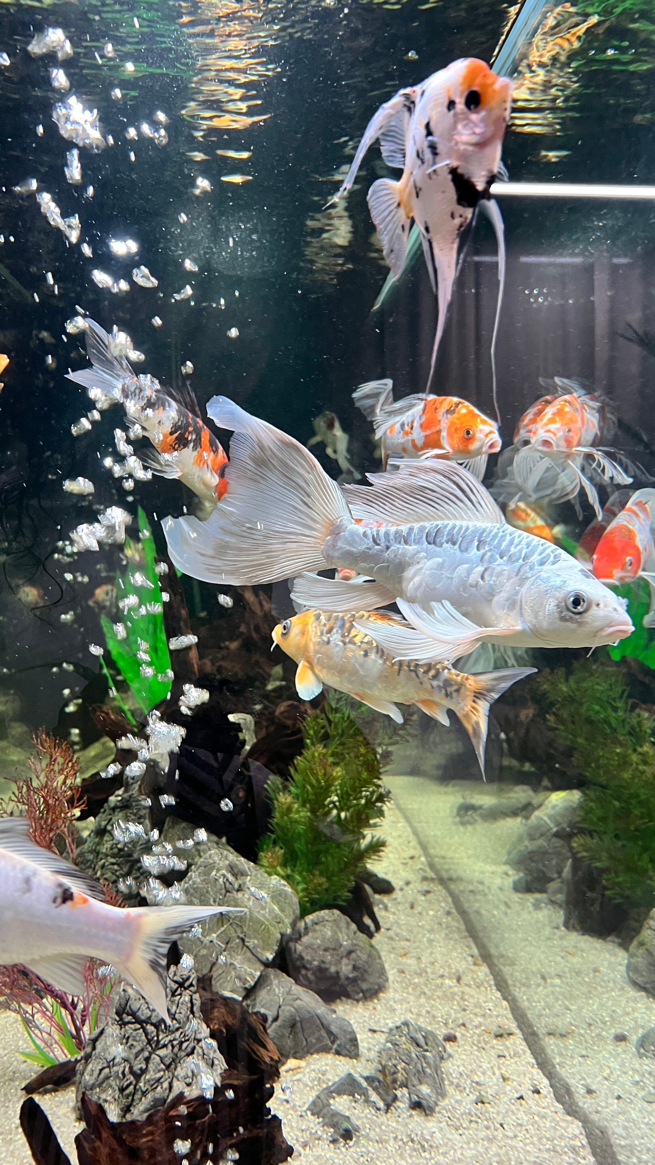 Фото Белая Русь