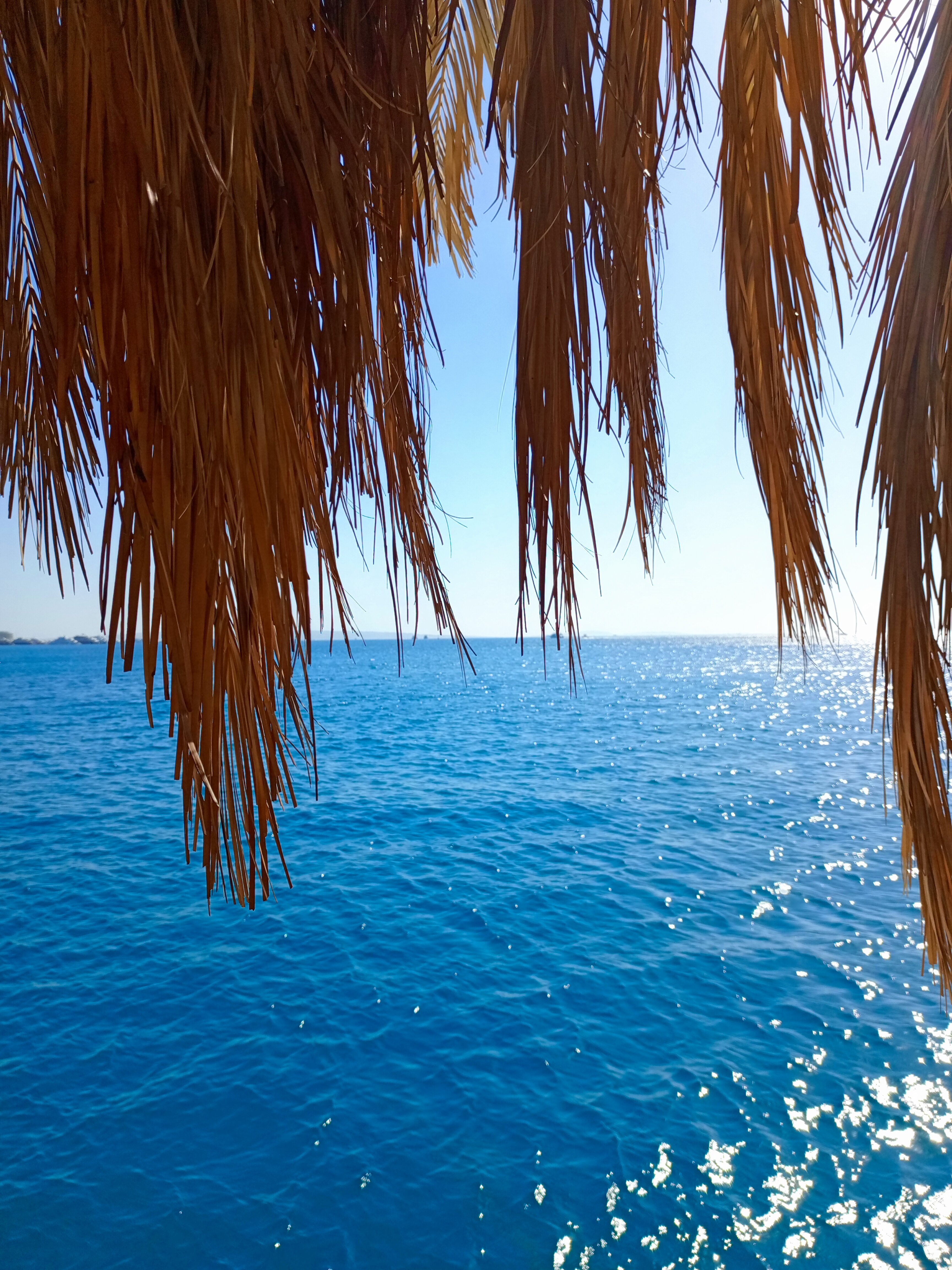 Фото Sindbad Club