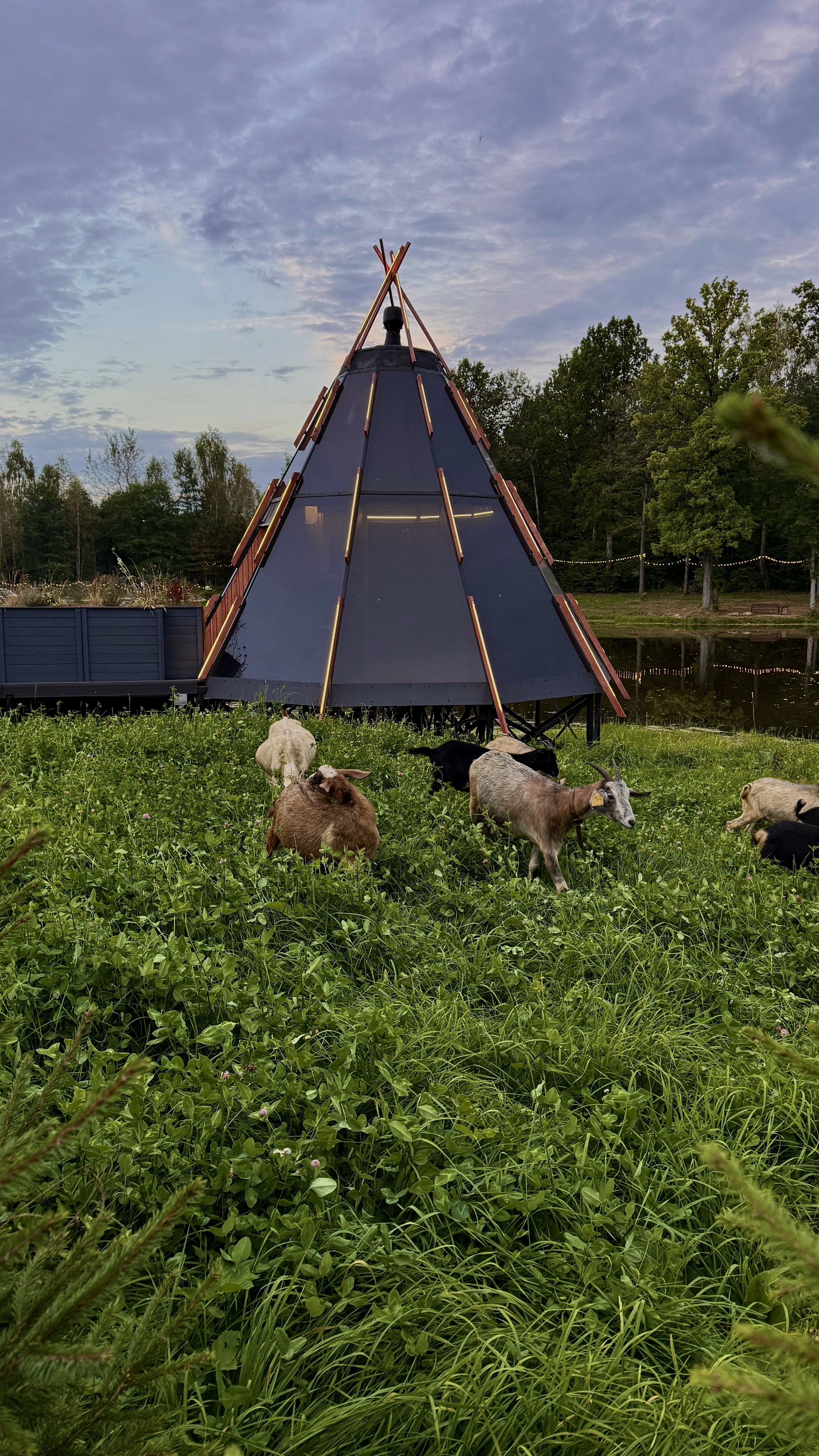 Фото Бухлово Парк