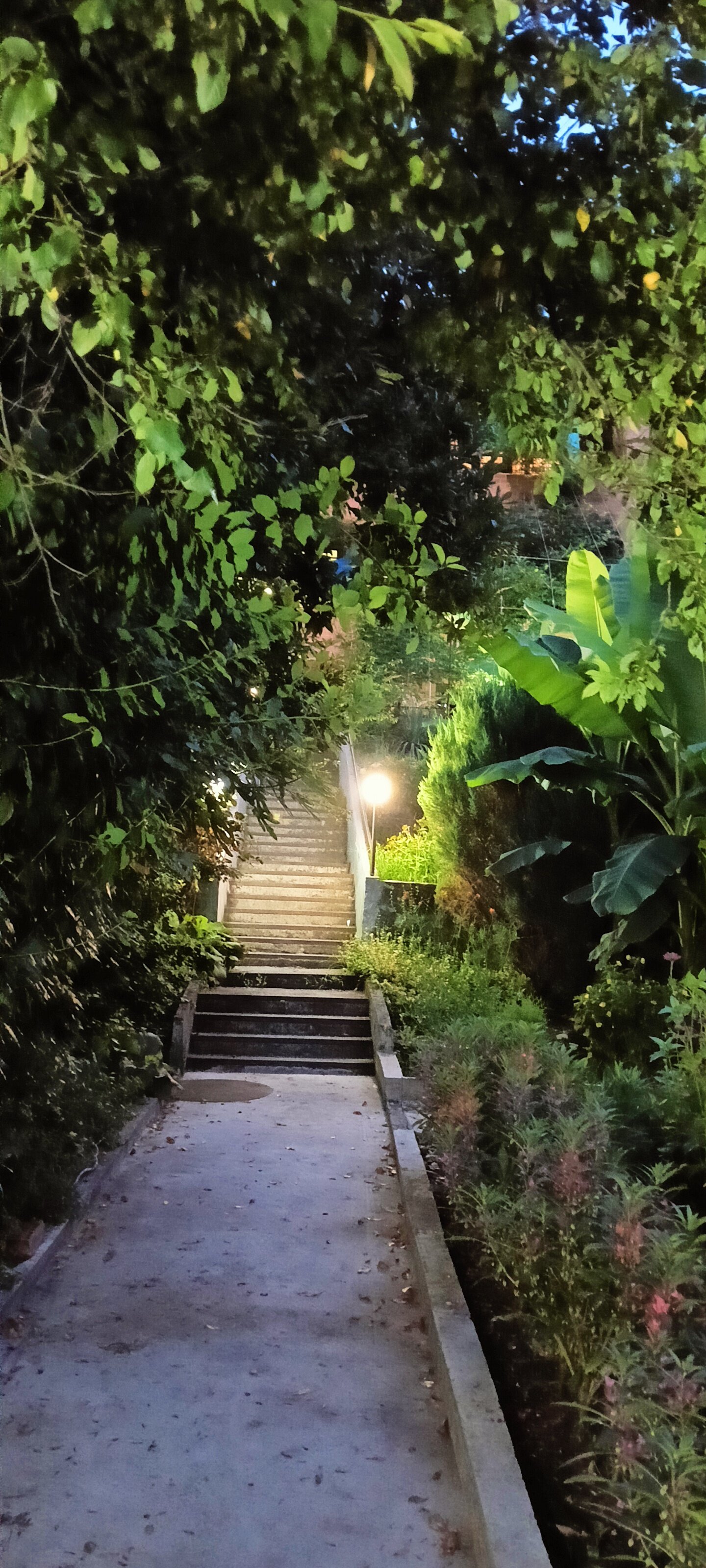 Фото Лесная прохлада