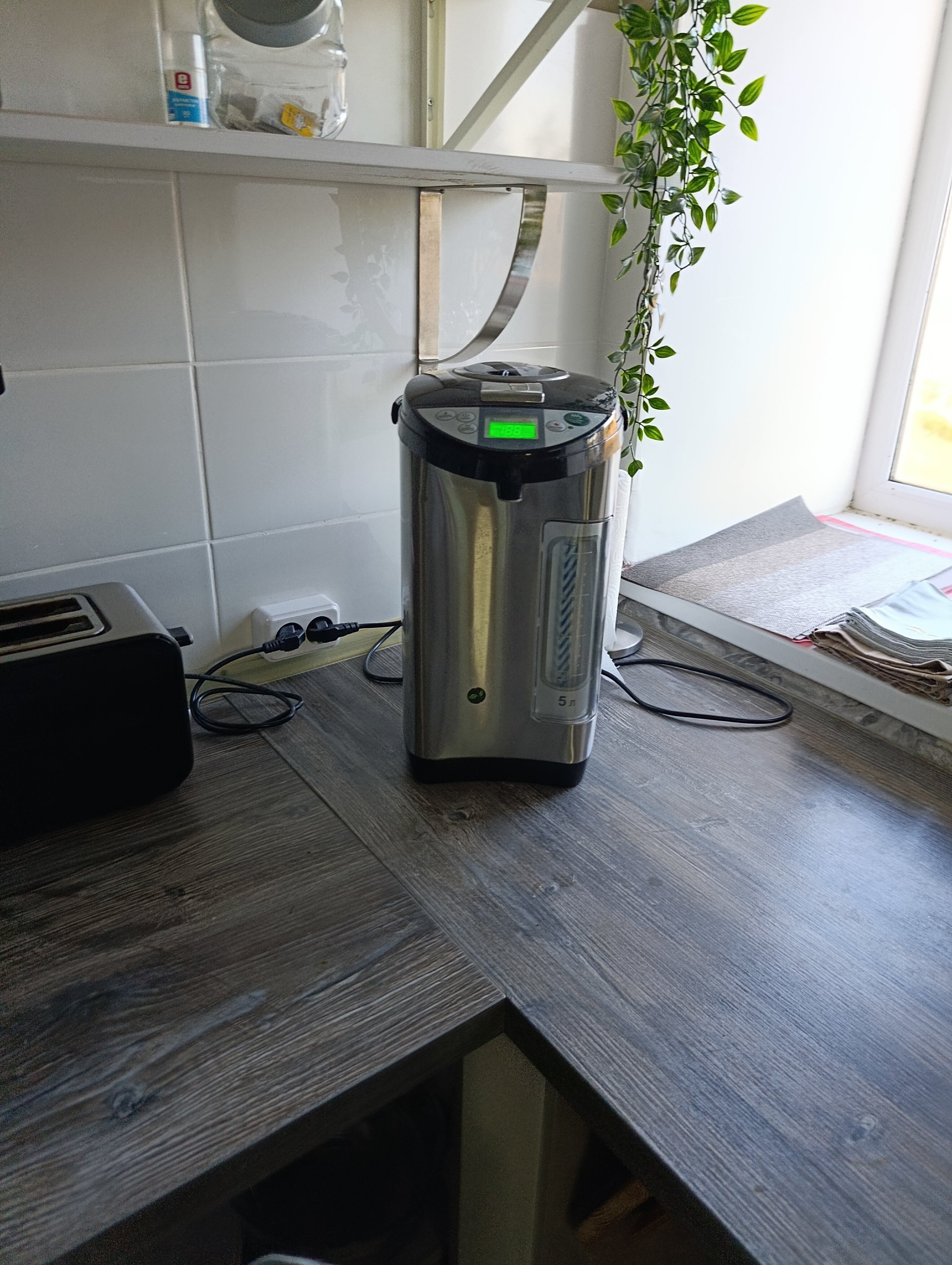 Фото Улитка