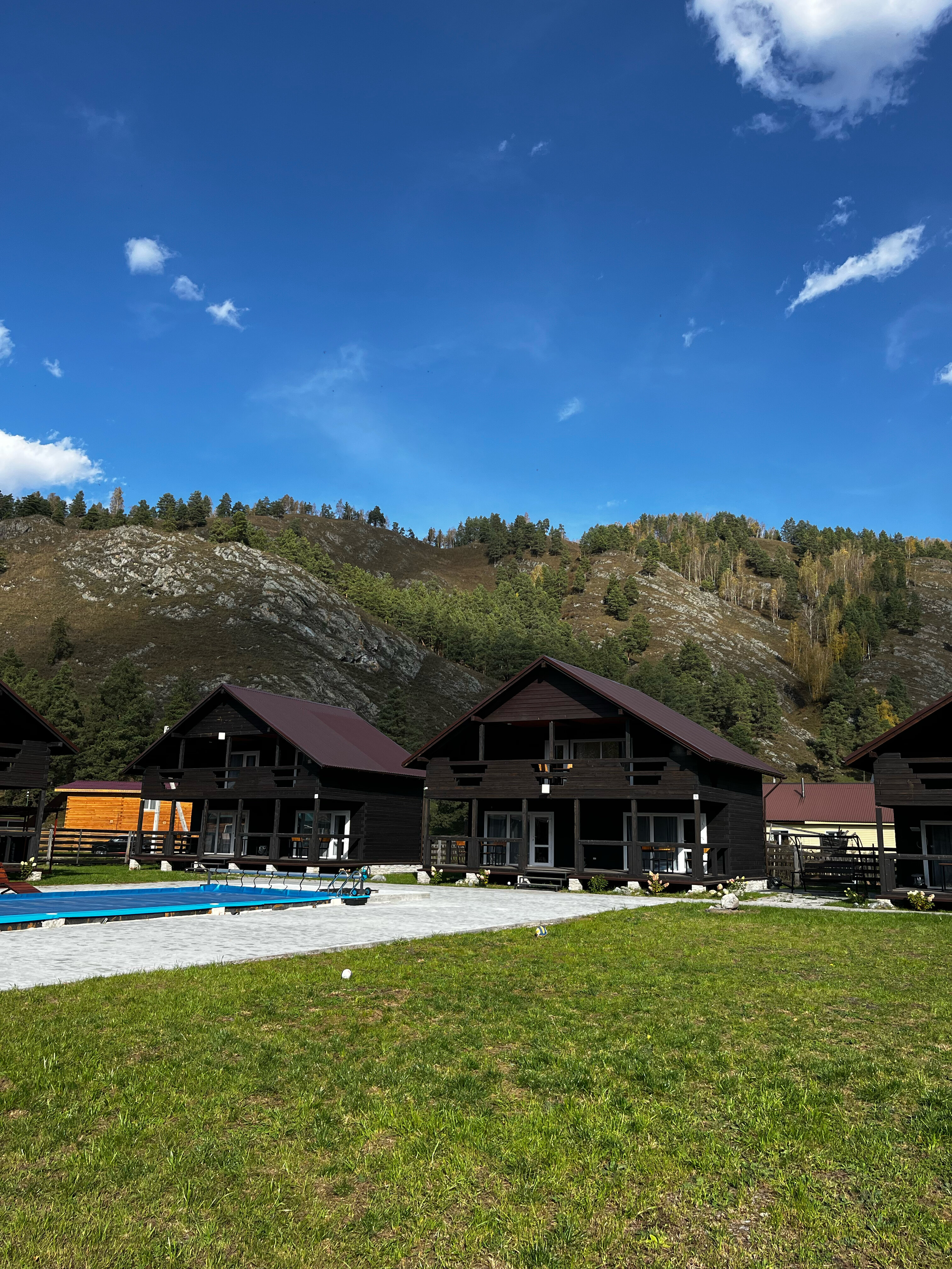 Фото Мамонт