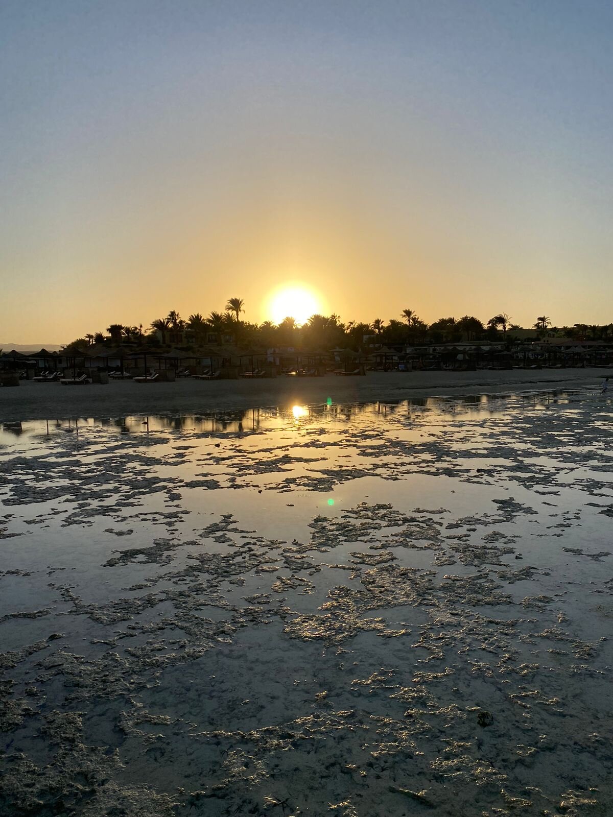 Фото The Three Corners Fayrouz Plaza Beach Resort