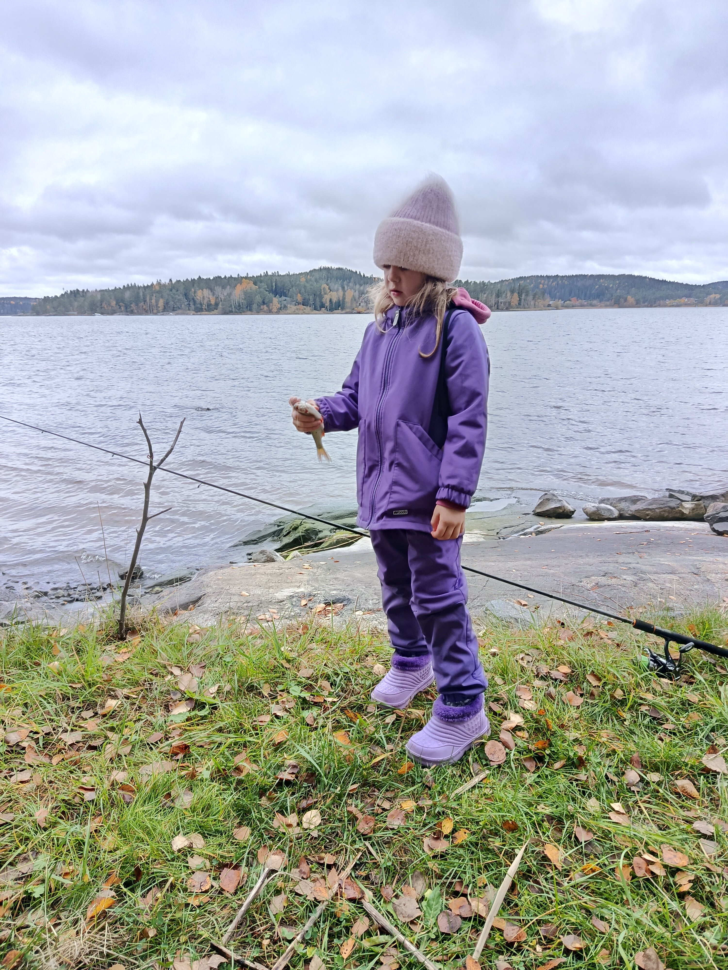 Фото Коттедж Берег у леса