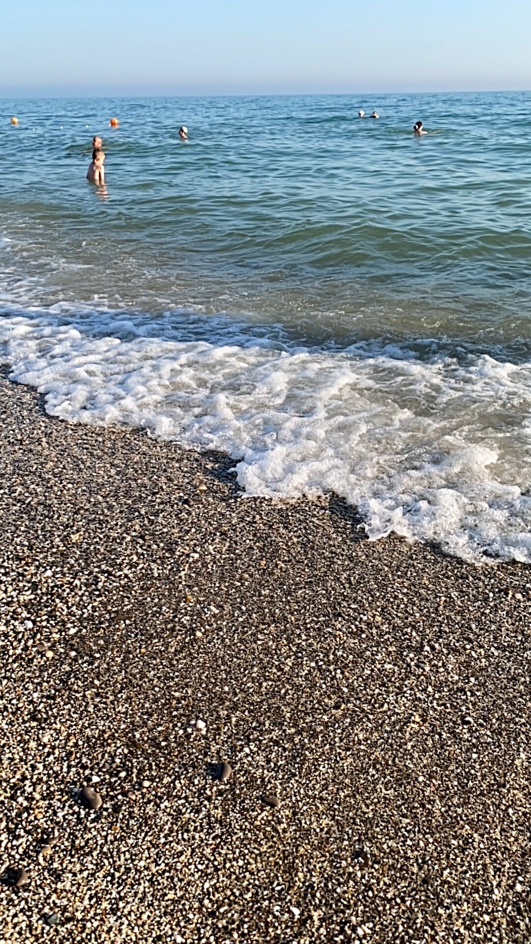 Фото Кальмар