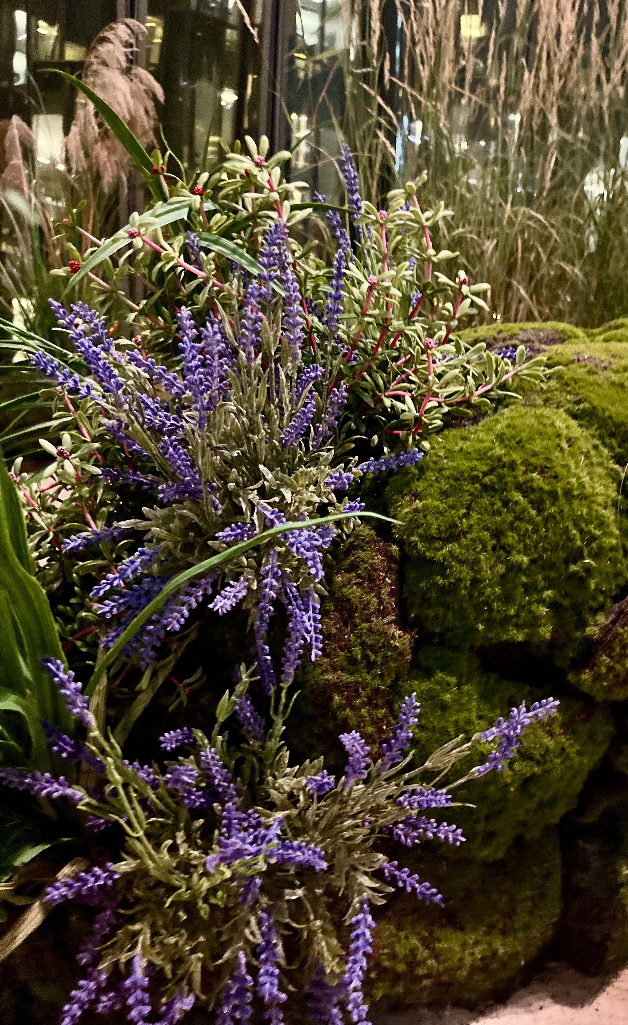 Фото 25/7 Заневский