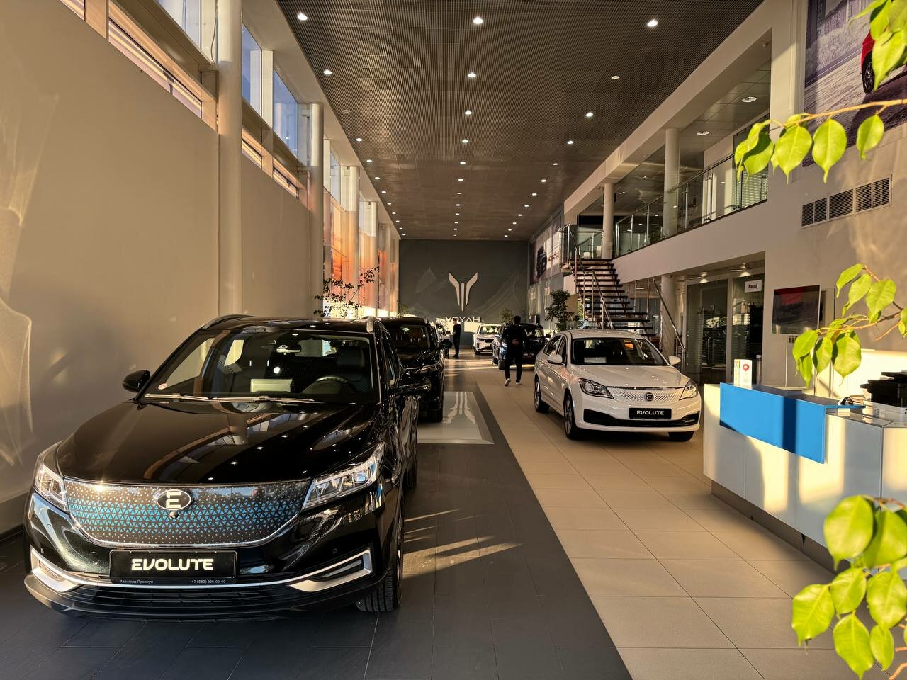 photo Авангард Evolute