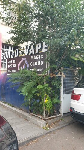 Magic cloud, vape shop, Tbilisi, Merab Kostavas Street, 75 — Yandex Maps