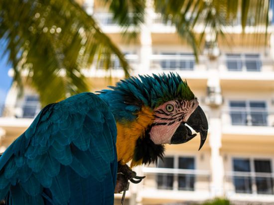 Фото ICom Marina Sea View