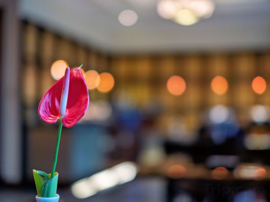 Фото Waterfront Cebu City Hotel & Casino