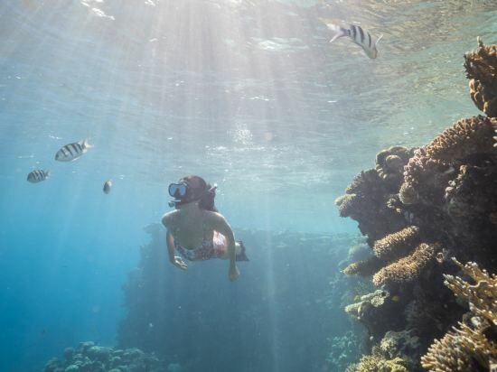 Фото Four Seasons Resort Sharm El Sheikh