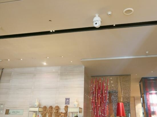 Фото 162010706561