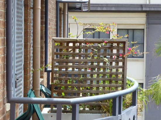 Фото Mariners Court Hotel Sydney