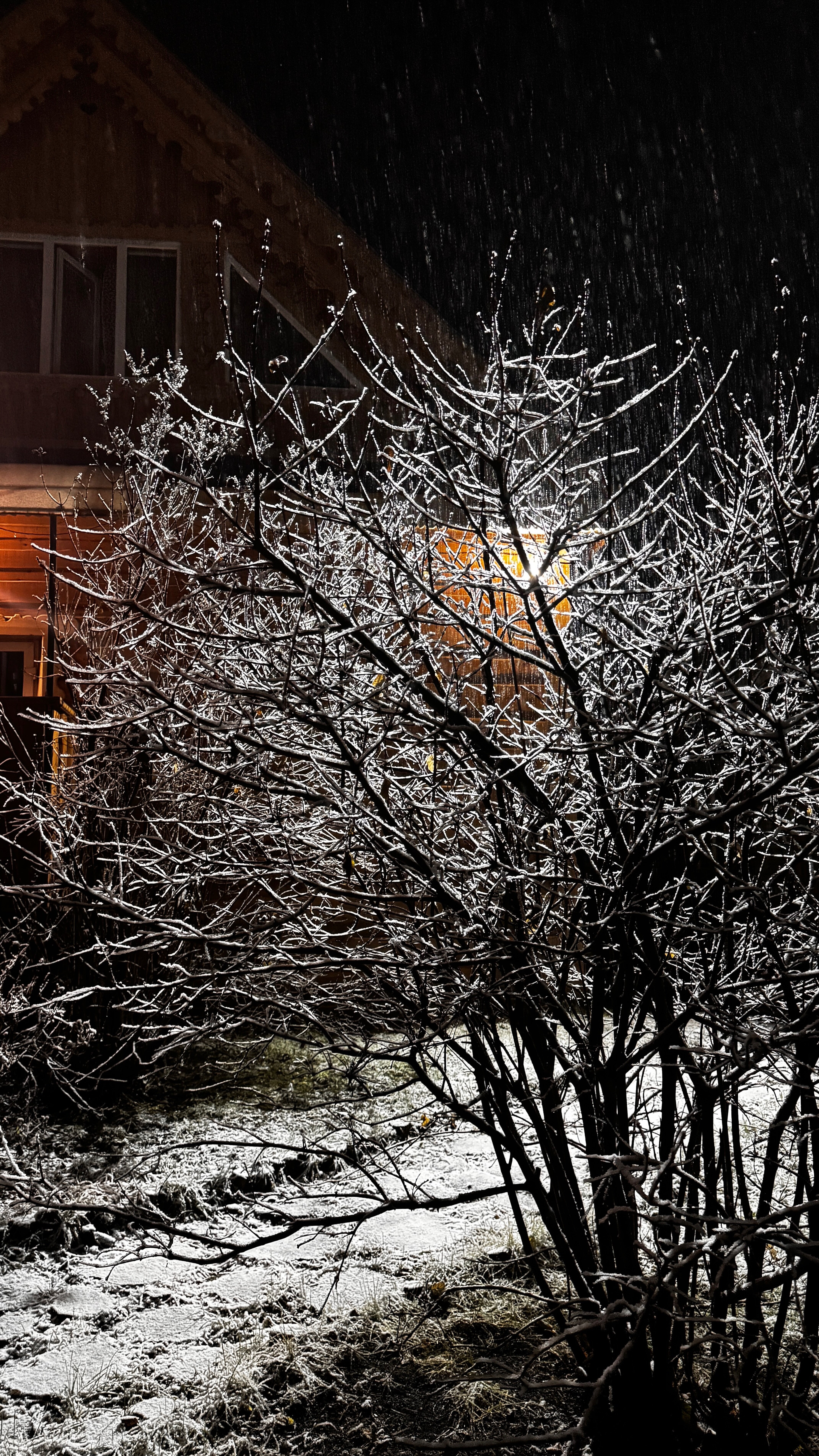 Фото Таежное