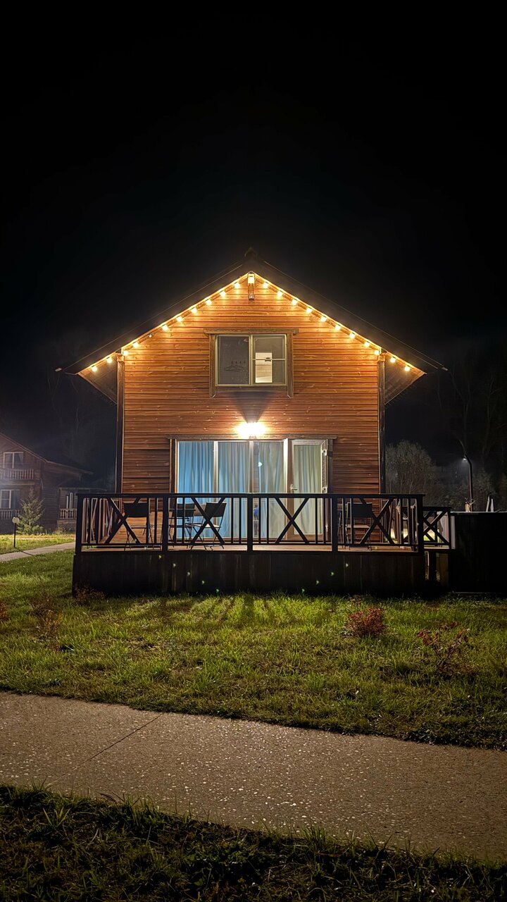 Елки на Волге