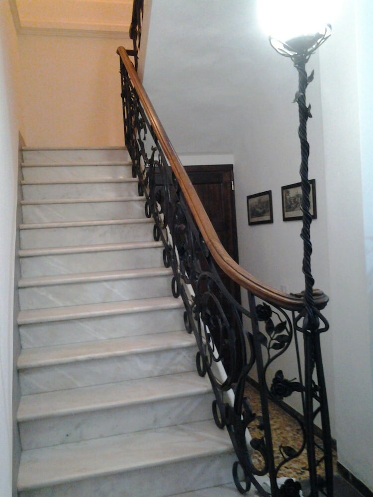 Фото Little Garden Donatello