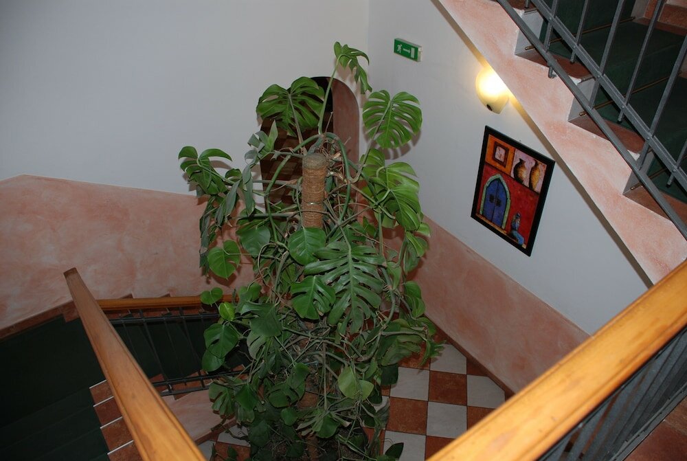 Фото Hotel Bogart 2