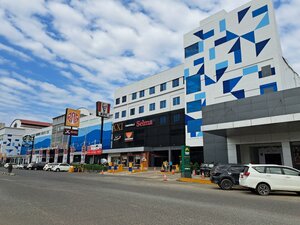 Гостиница Wiltop Hotel