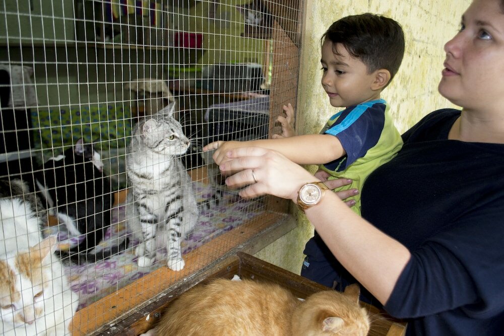 Фото Lands in Love Hotel