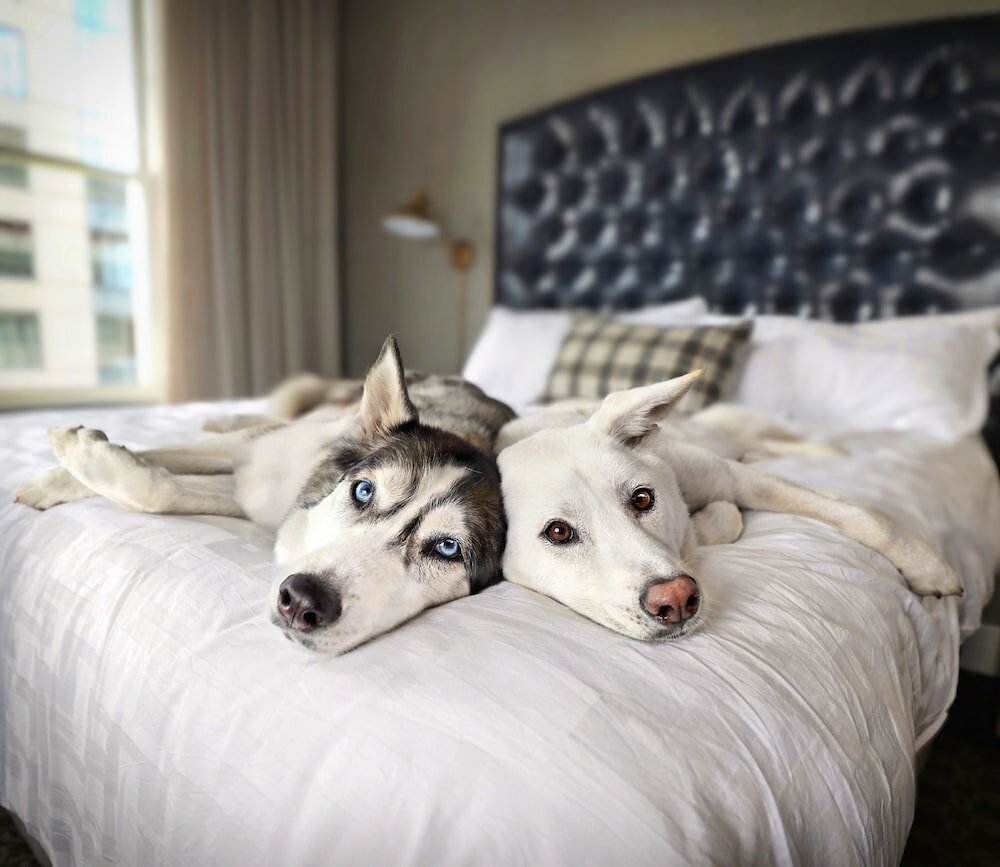 Фото Hotel Teatro