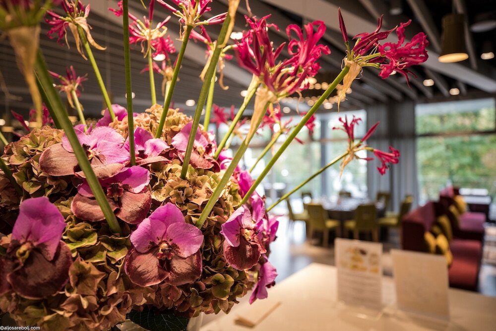 Фото Bled Rose Hotel