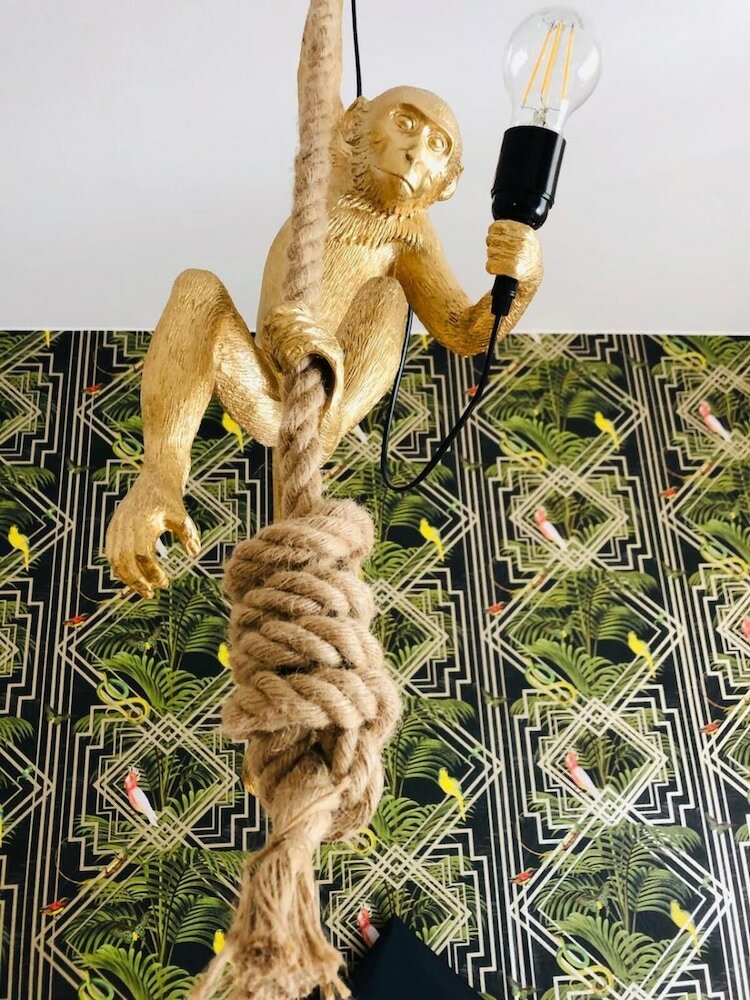 Фото House of Trento