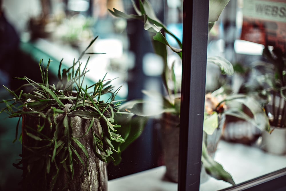 Фото Monsieur Helder