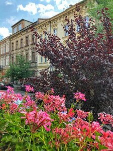 Гостиница Cracowdays