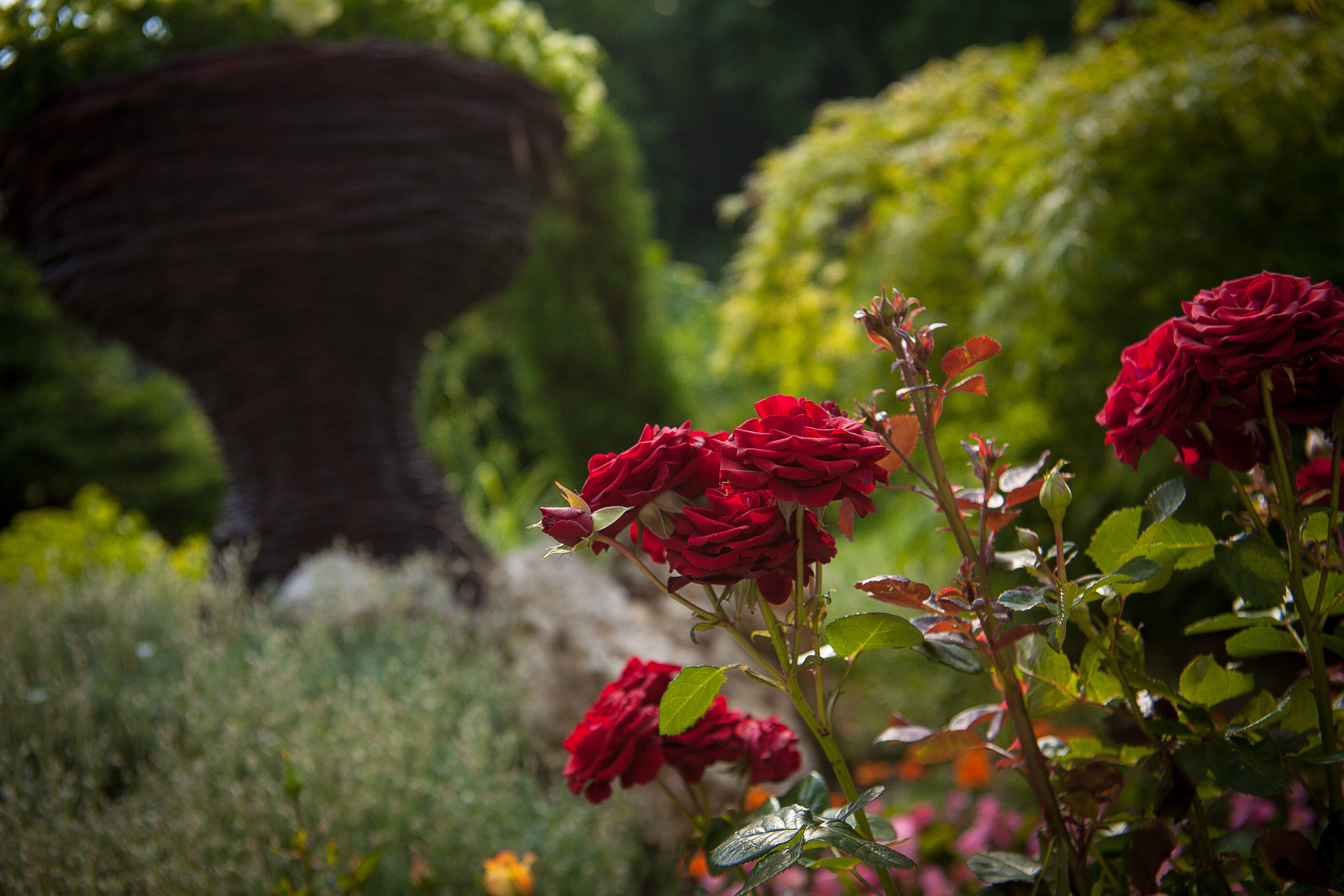 Фото Park Hotel Perla