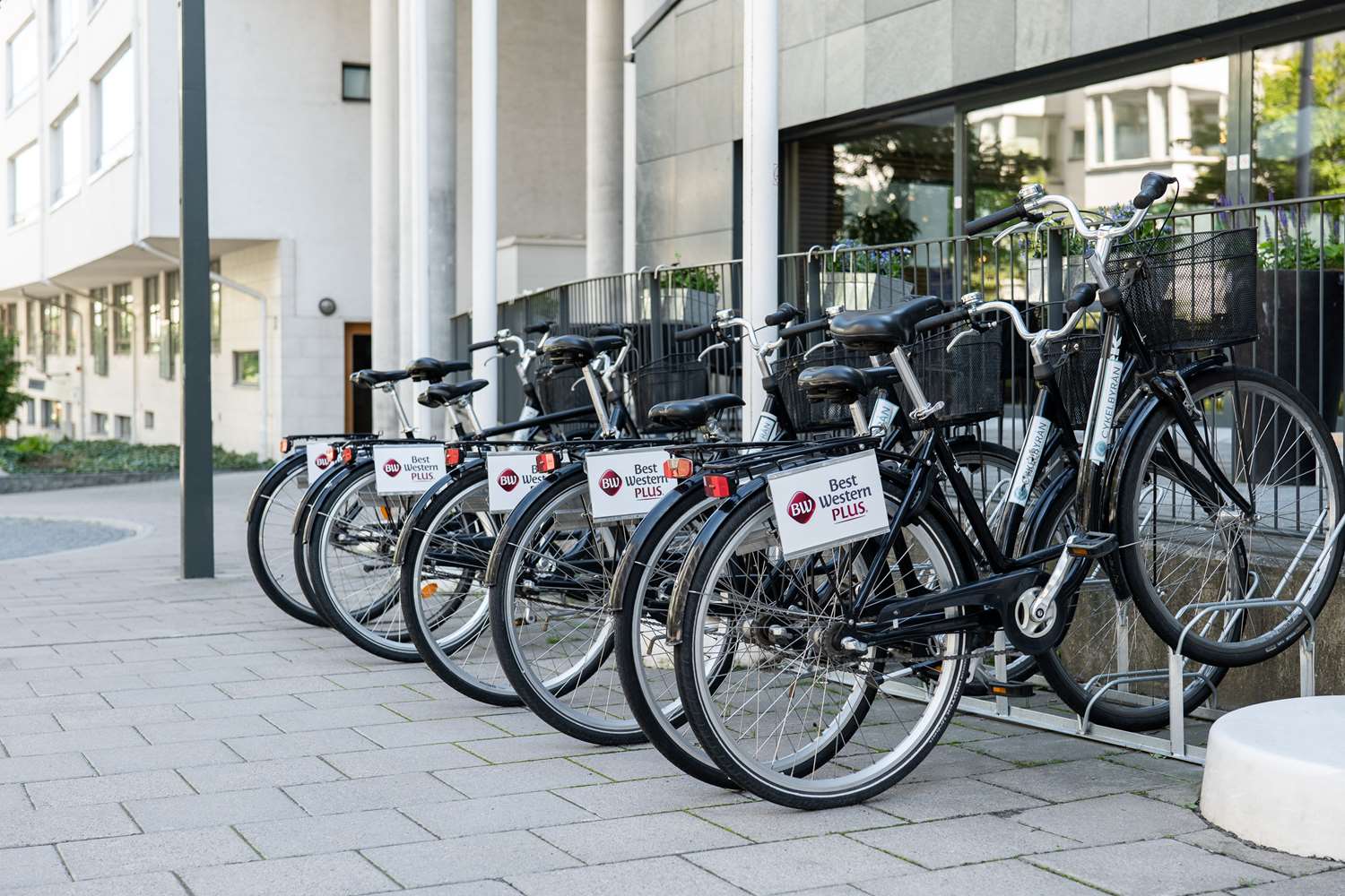 Фото 32783866577