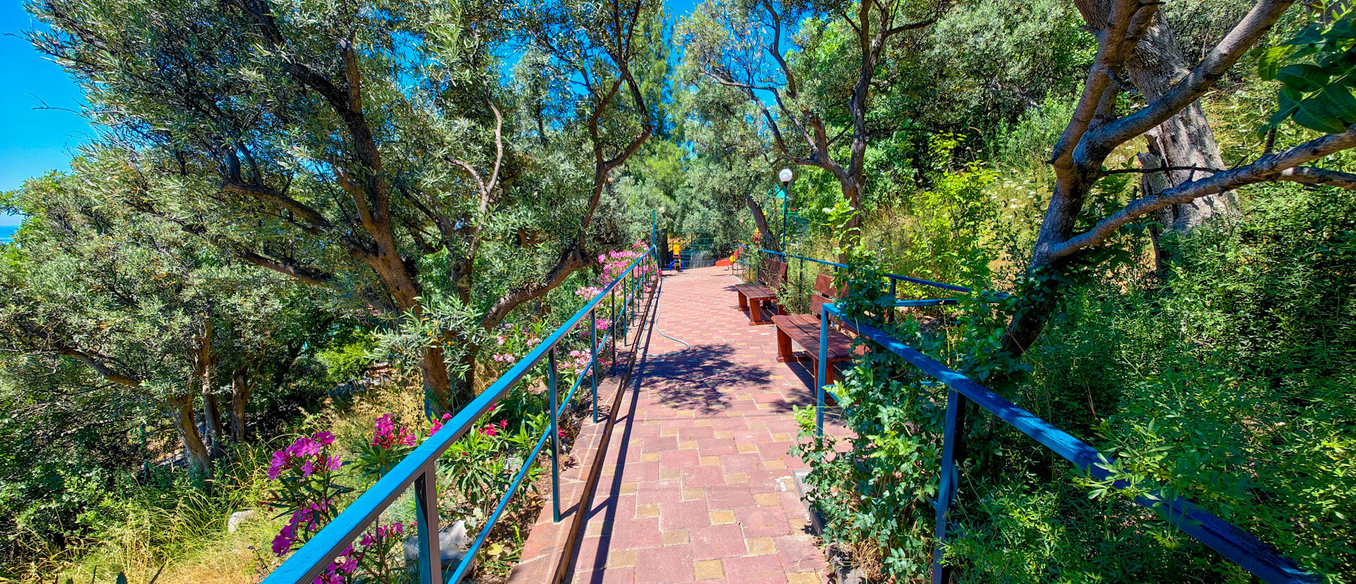 Фото Жуковка