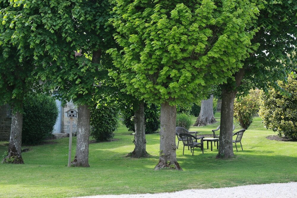 Фото 130584666346