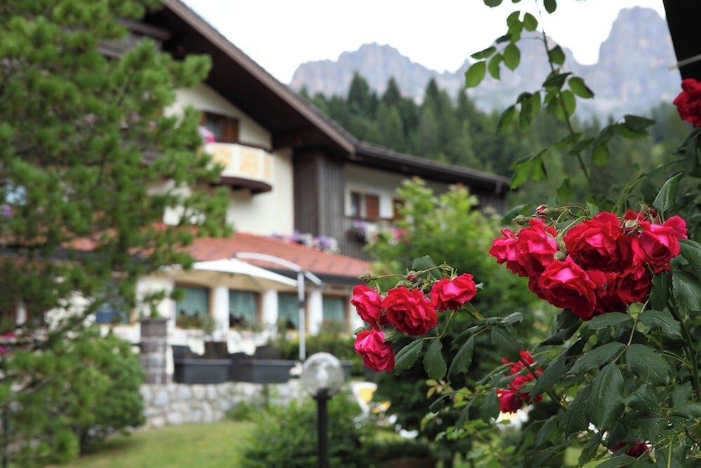 Фото Park Hotel Arnica