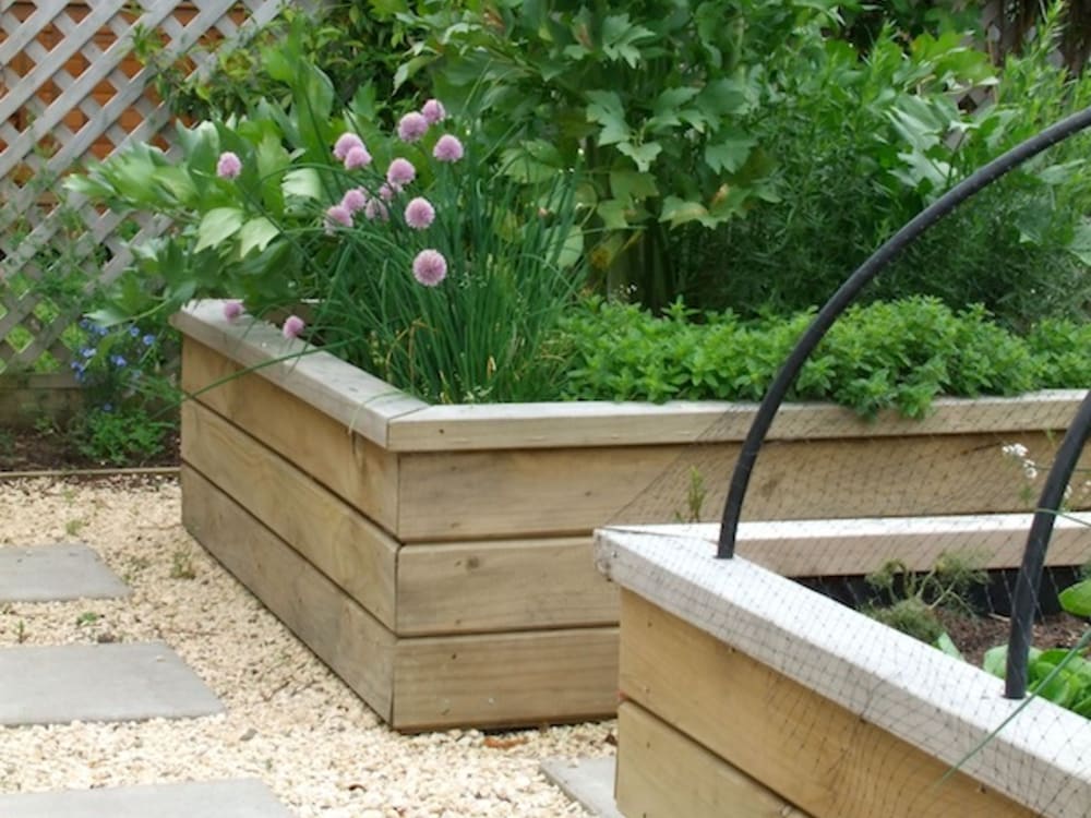 Фото Lilac Rose Boutique Bed and Breakfast