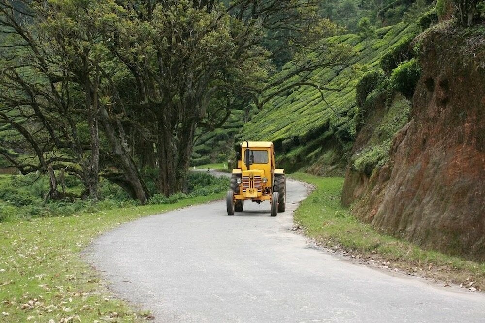 Фото Wild Elephant Eco-Friendly Resort