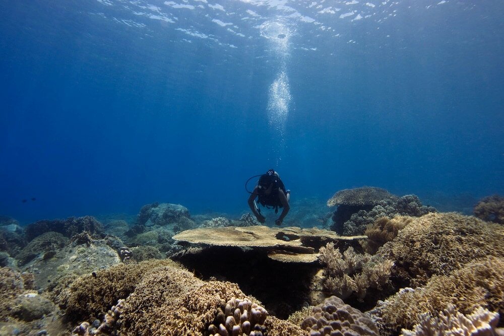 Фото Six Senses Ninh Van Bay