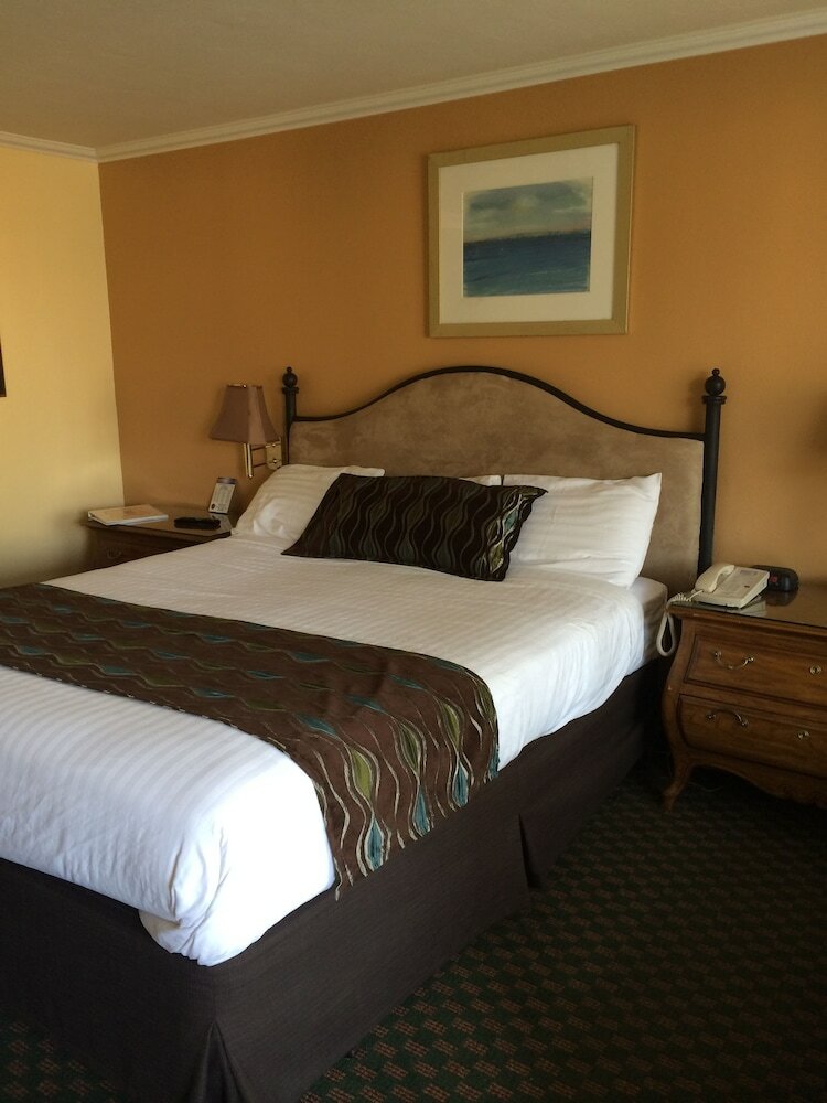 Фото Oasis Inn & Suites