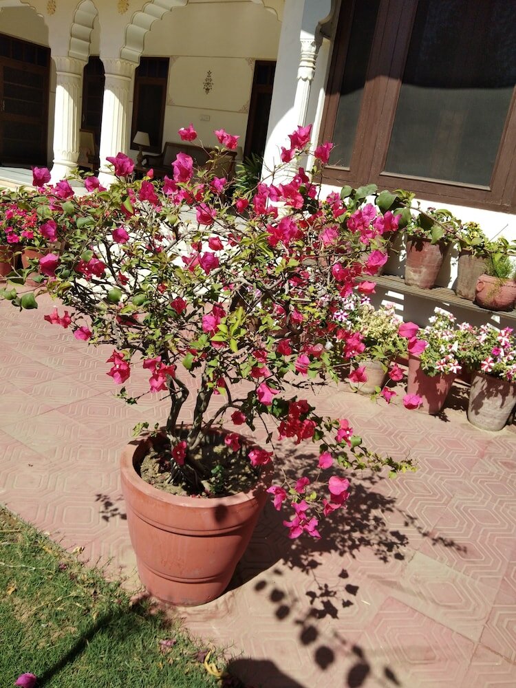 Фото Hotel Megh Niwas