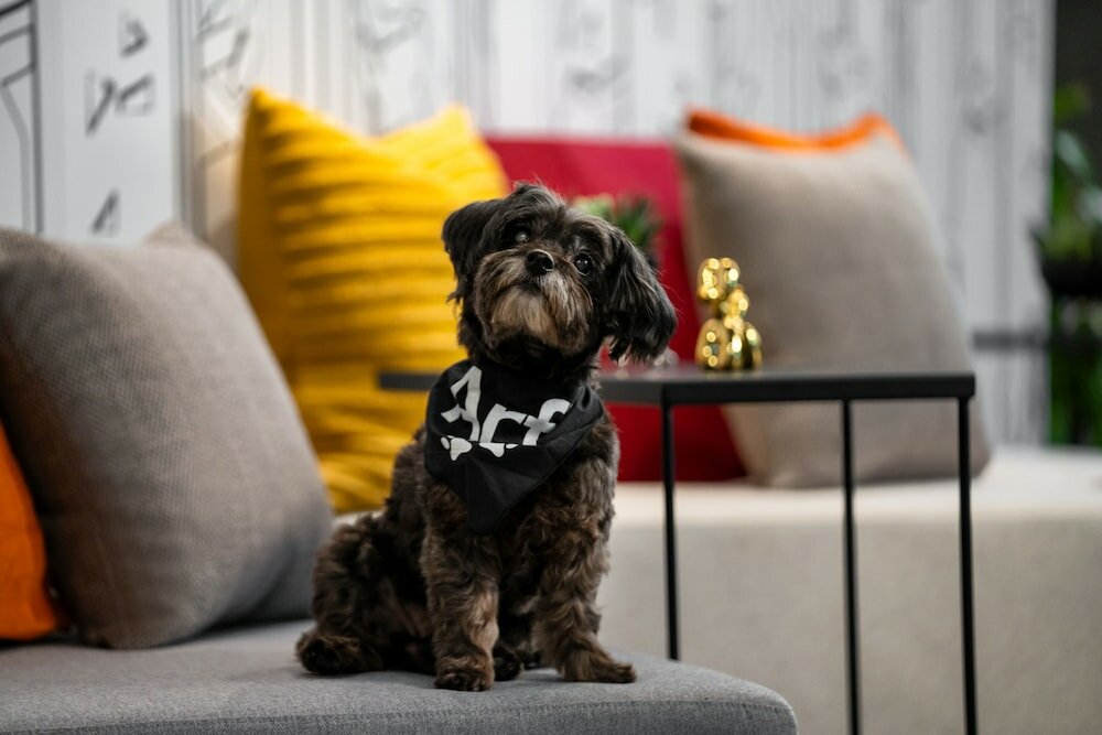 Фото Aloft New York Chelsea