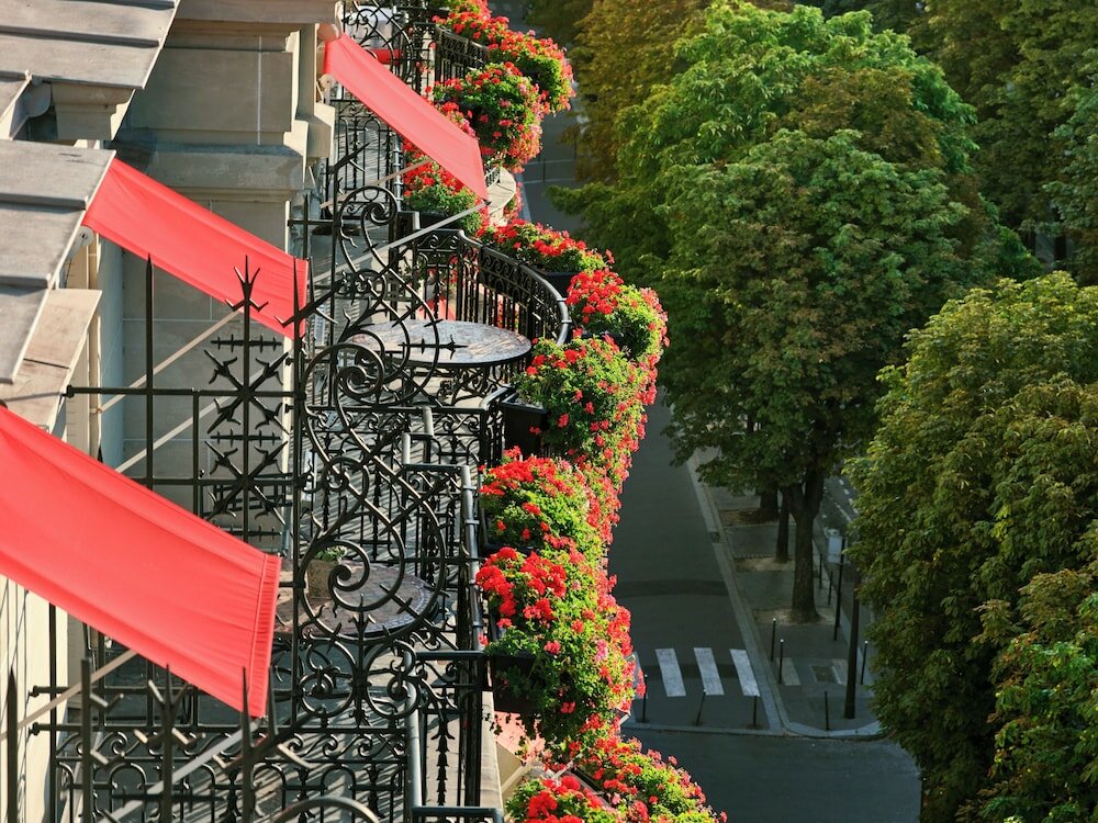 Фото Hotel Plaza Athenee