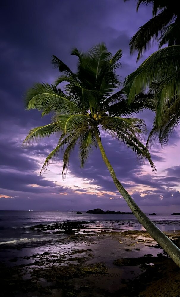 Фото Curry Bowl Restaurant & Turtles Rest